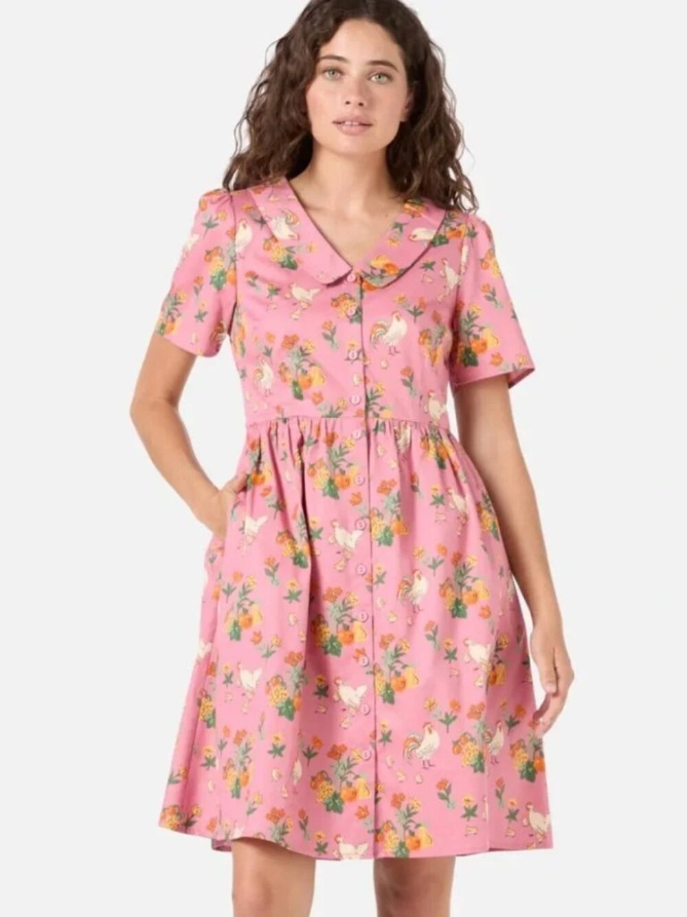 Princess Highway Chicken Dress - Picture 5 of 5